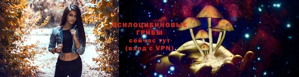 прущие крисы Алзамай