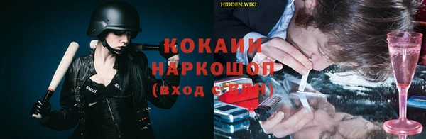 кокс Арсеньев