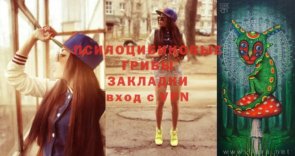 прущие крисы Алексеевка