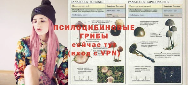 прущие крисы Алексеевка