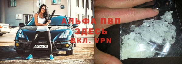 прущие крисы Алзамай