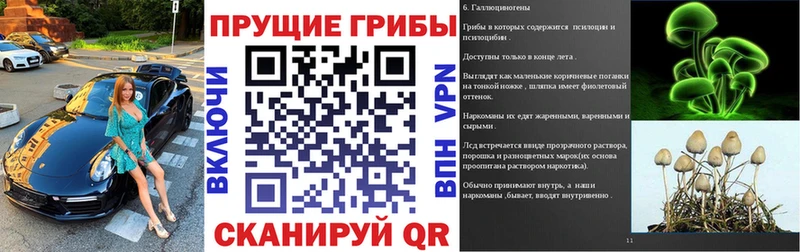 Псилоцибиновые грибы MAGIC MUSHROOMS  где можно купить   Бологое 